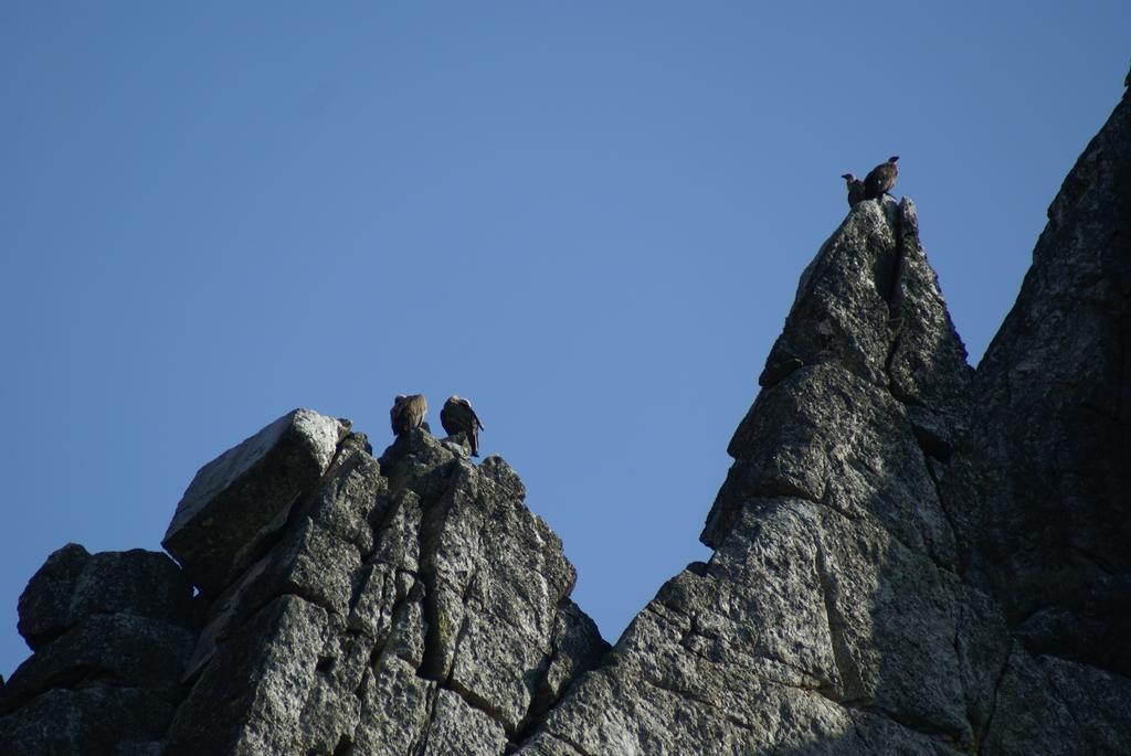 Al-mofrag Y El Mirador De Monfraguee